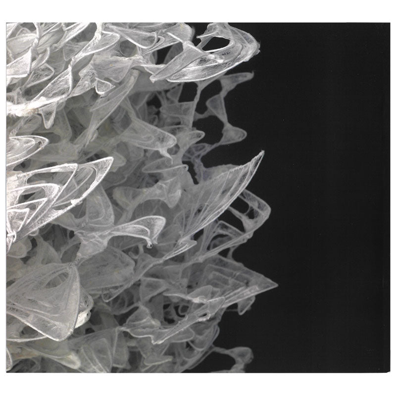 2023 Basketry Japan Exhibition Photo Collection